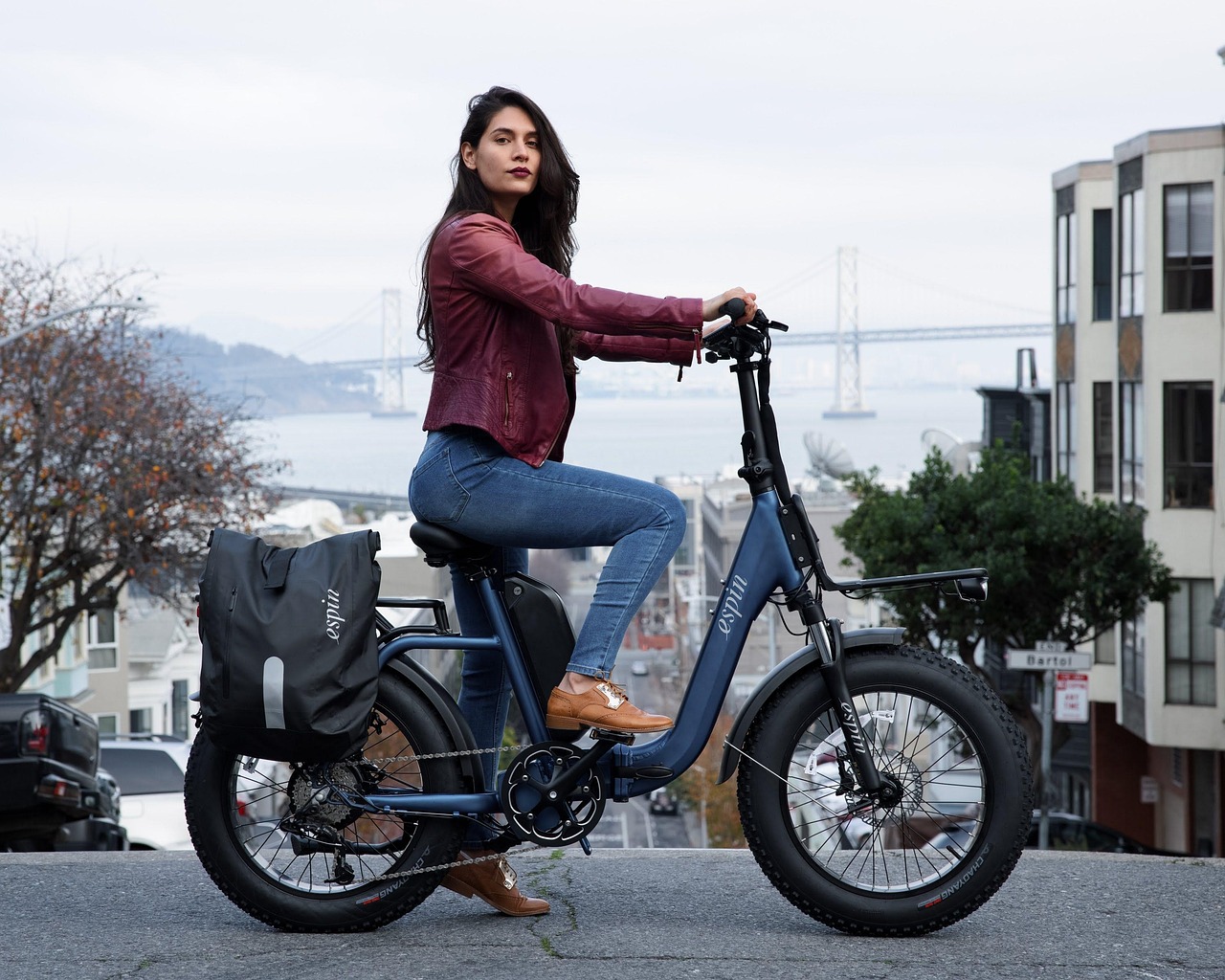 Vélo électrique