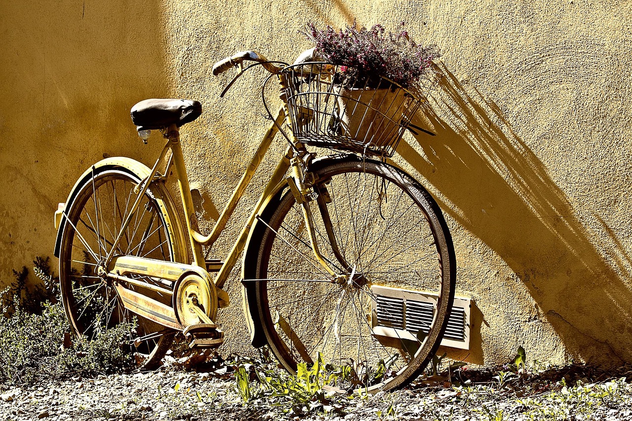 VTT haut de gamme